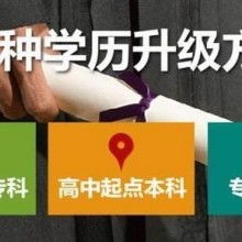 成都市金牌思维教育咨询有限责任公司 专业教育咨询，点亮成长之路